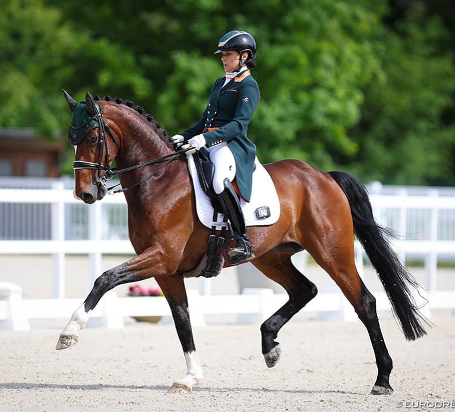Carl Hester