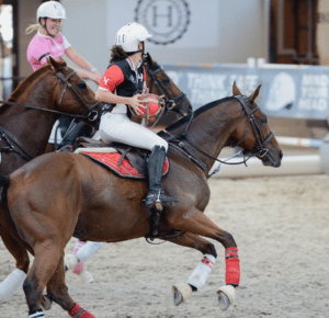 horseball champions league