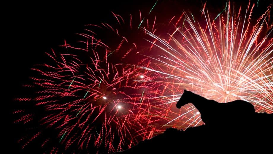 fuegos artificiales