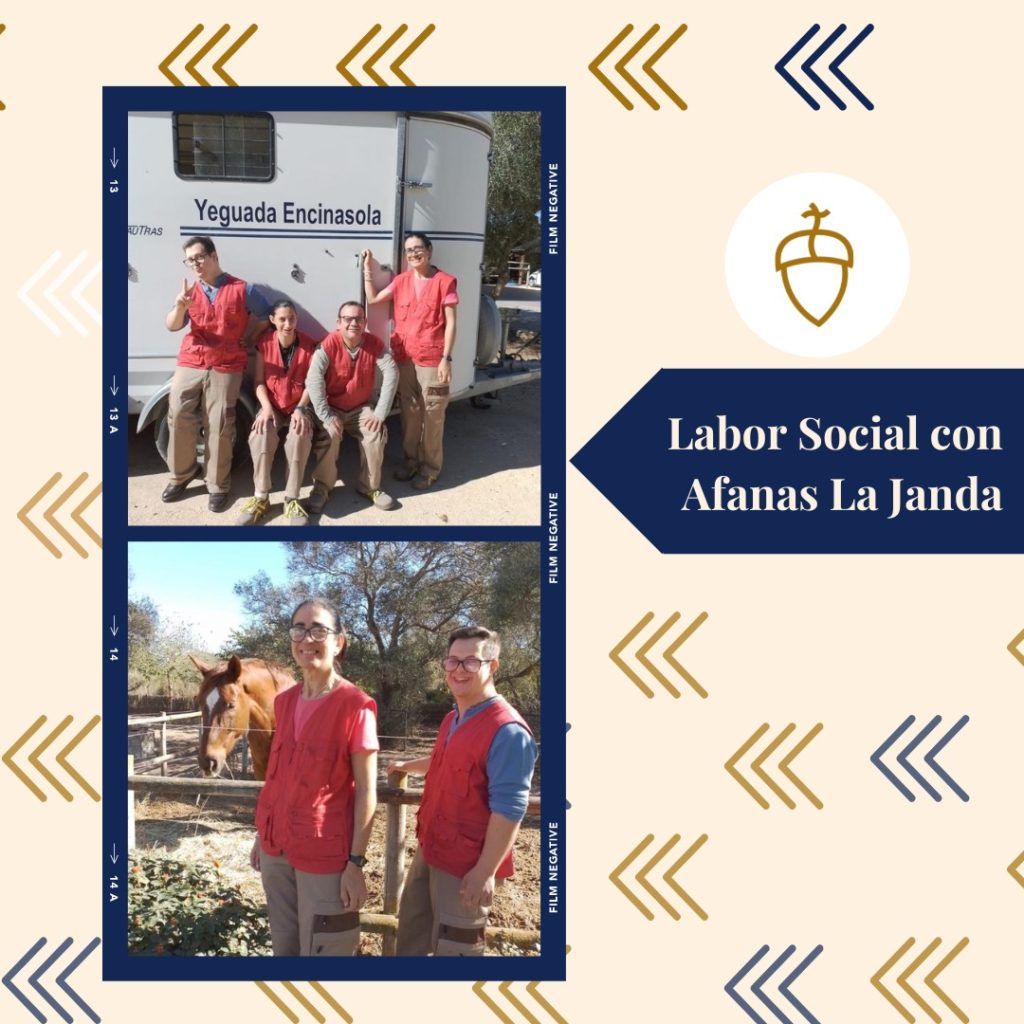 labor social