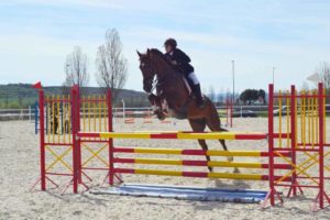 titularidad de un caballo