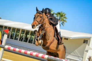 Charlotte Bettendorf