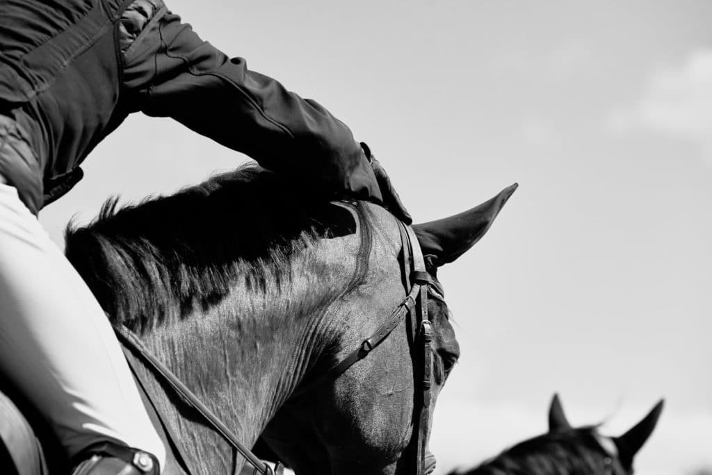 Young Rider Academy