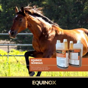 problemas estomacales