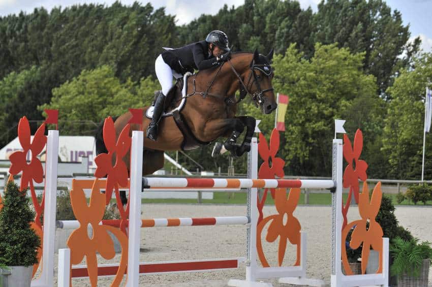 Sea Coast Don't Touch Tiji Hero