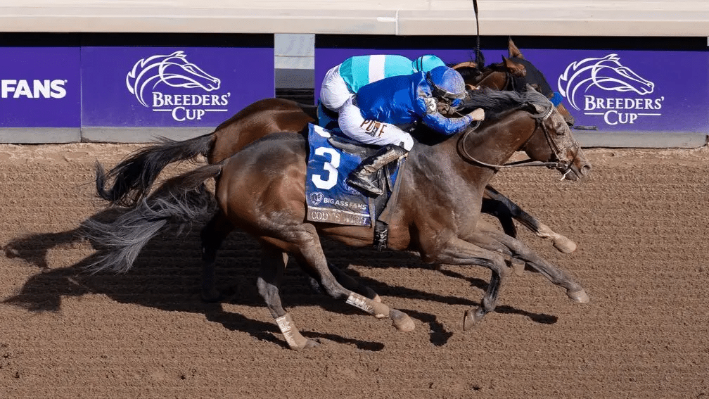El caballo Cody's Wish ganando por Cody Dorman en la Breeders' Cup
