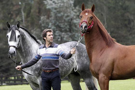Pablo Hermoso de Mendoza