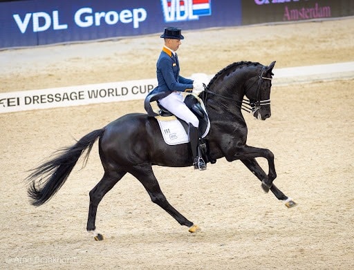 Dream Boy hans peter