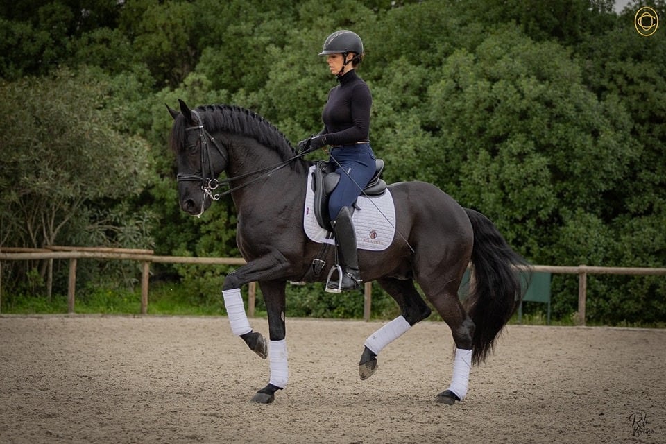 Maria Pais do Amaral