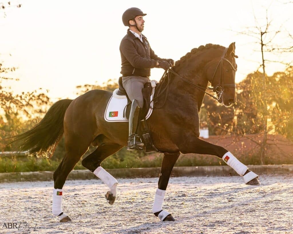 Roberto Brasil Revolution