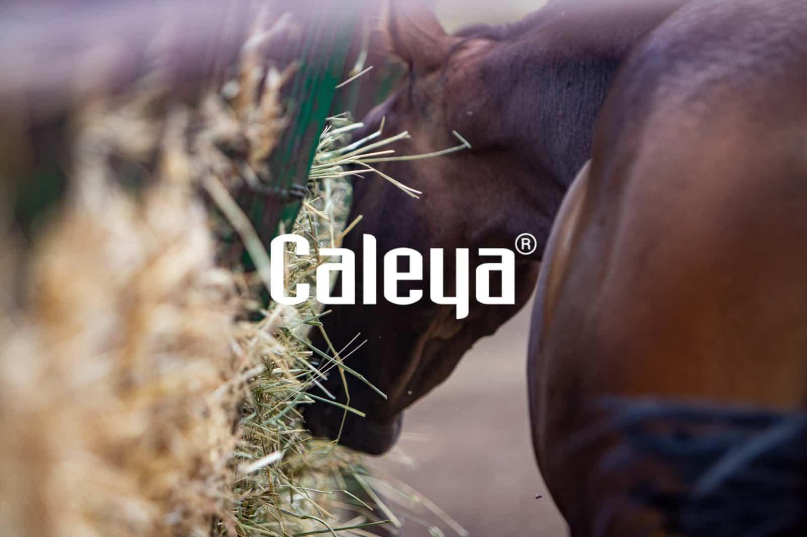 forraje Montenmedio Caleya Forrajes