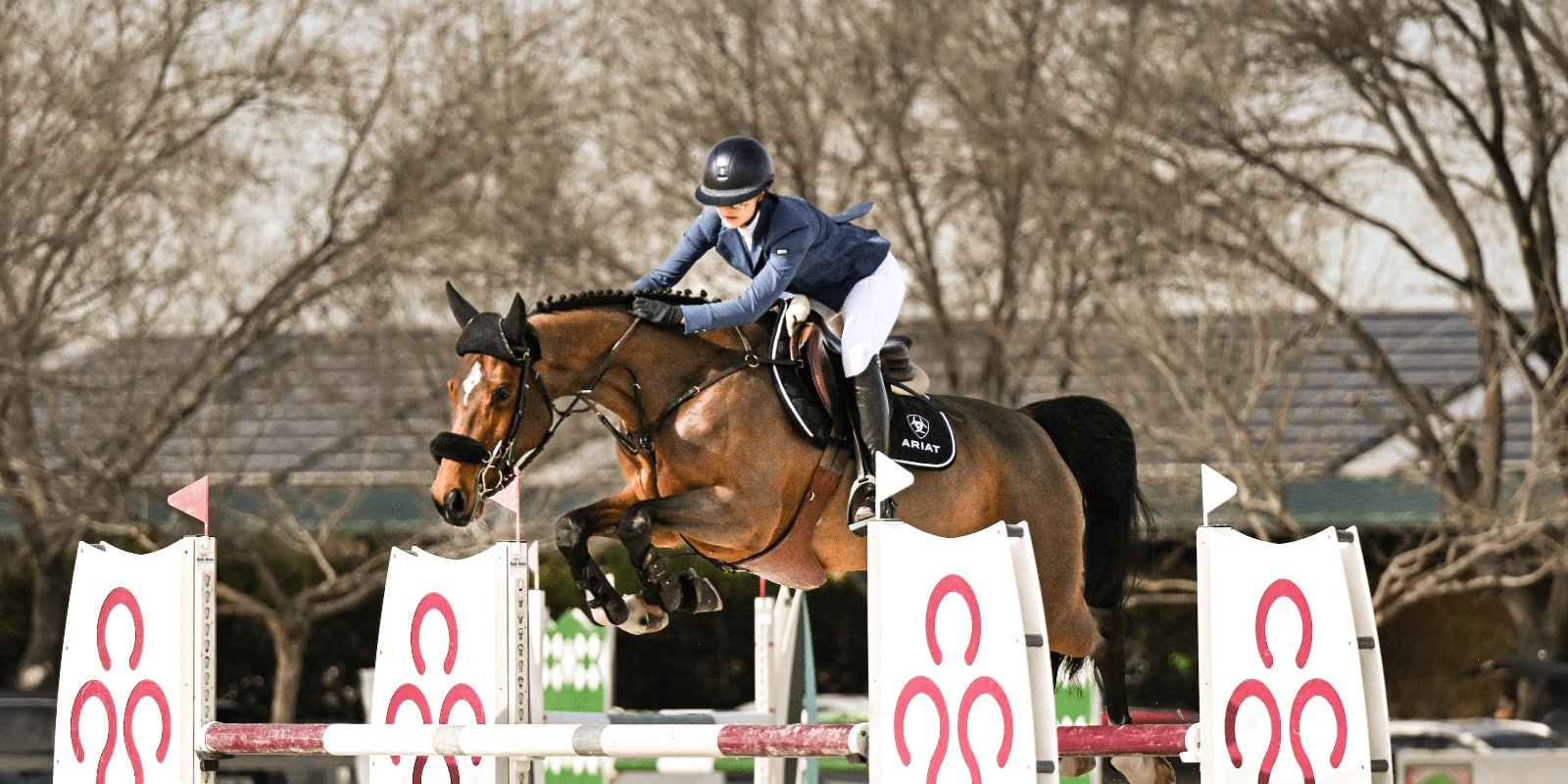 Maya de la Joya Ariat Hispano Hipica