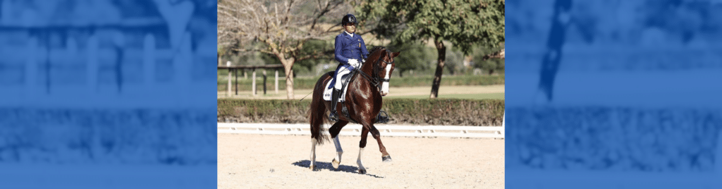 Doma Clásica Jerez Internacional Real Escuela Andaluza del Arte Ecuestre José Antonio García Mena