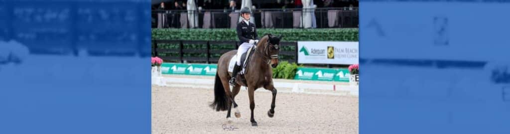 Hendricks Felicitas Hendricks CDIO Wellington