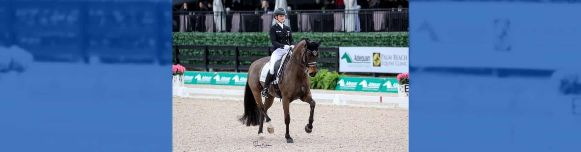 Hendricks Felicitas Hendricks CDIO Wellington