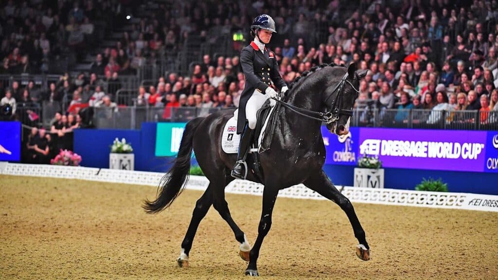 Keur KWPN Everdale Krack C Desperado