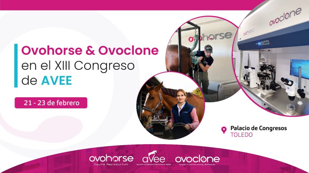 ovohorse XIII Congreso AVEE