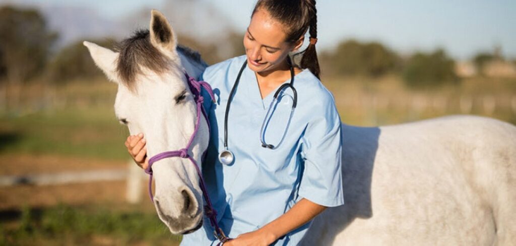 veterinarios caballos feeva
