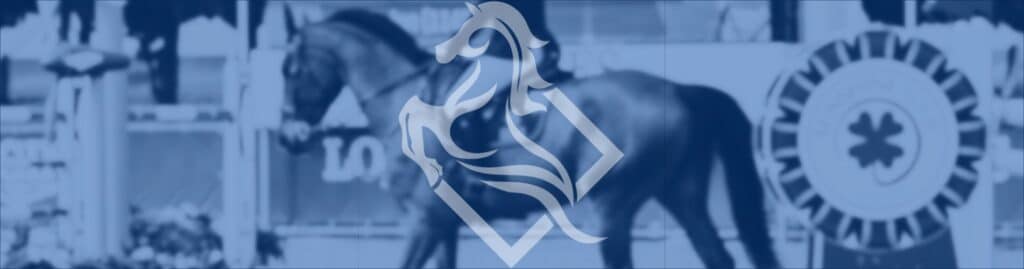 Chacco Marketing aniversario