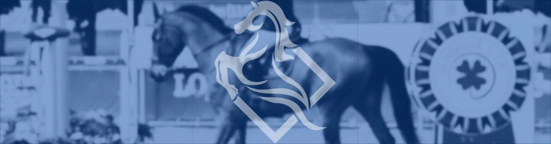 Chacco Marketing aniversario