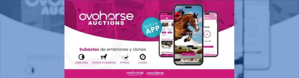 Ovohorse Auctions