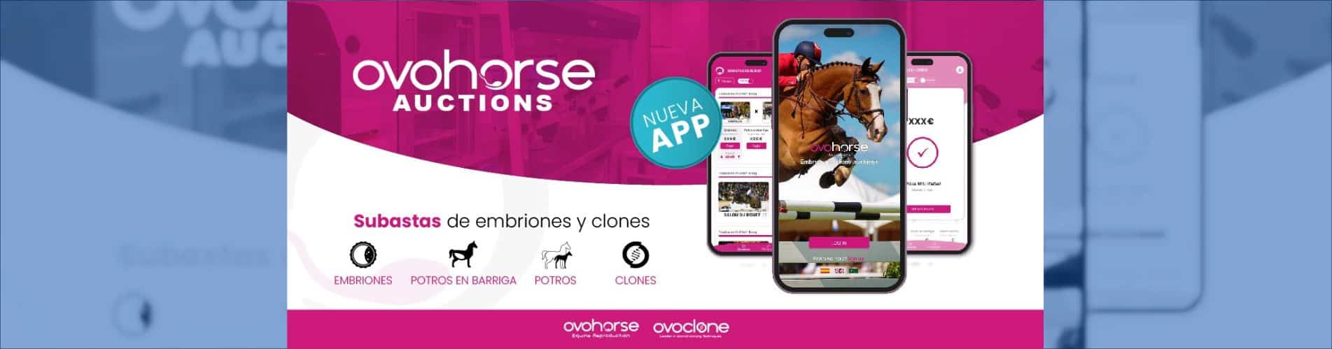 Ovohorse Auctions