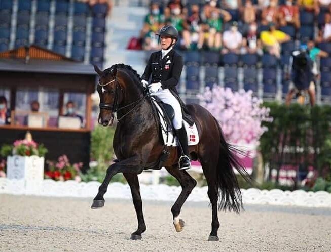 Blue Hors Zack retira