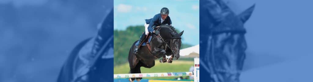 Diarado Swedish Warmblood Ovohorse mejor semental