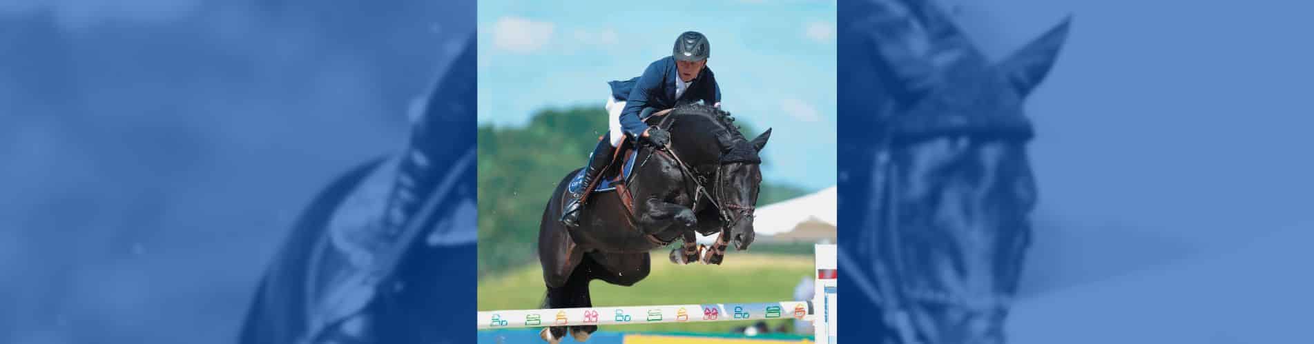 Diarado Swedish Warmblood Ovohorse mejor semental