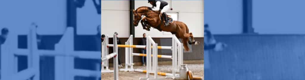 Harrie Smolders Escape Z Ecclestone Z