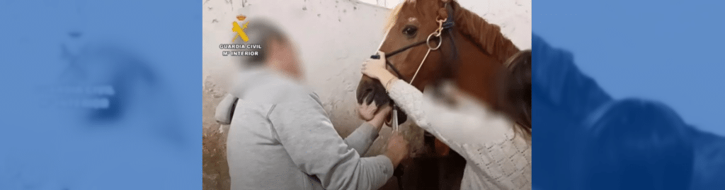 antibióticos veterinario