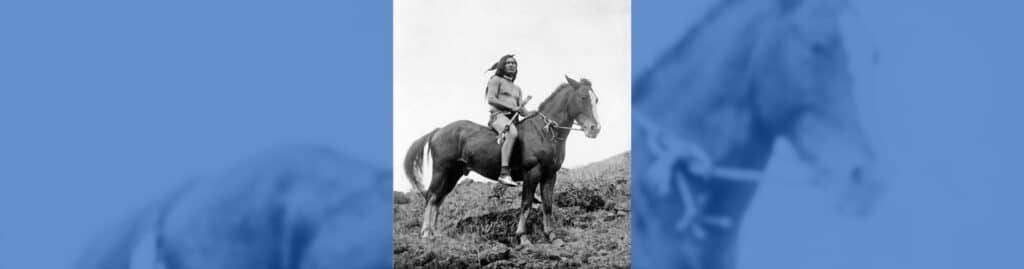 caballos América del Norte