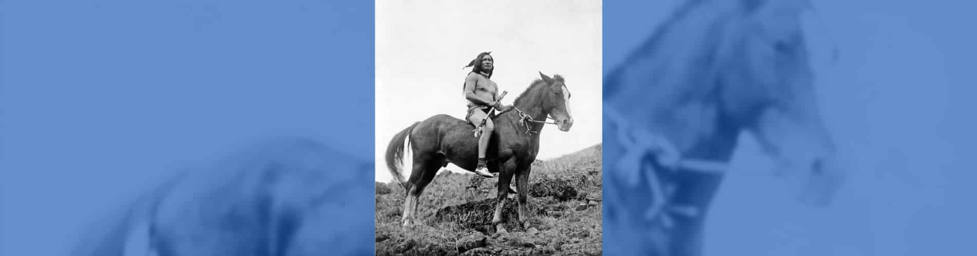 caballos América del Norte