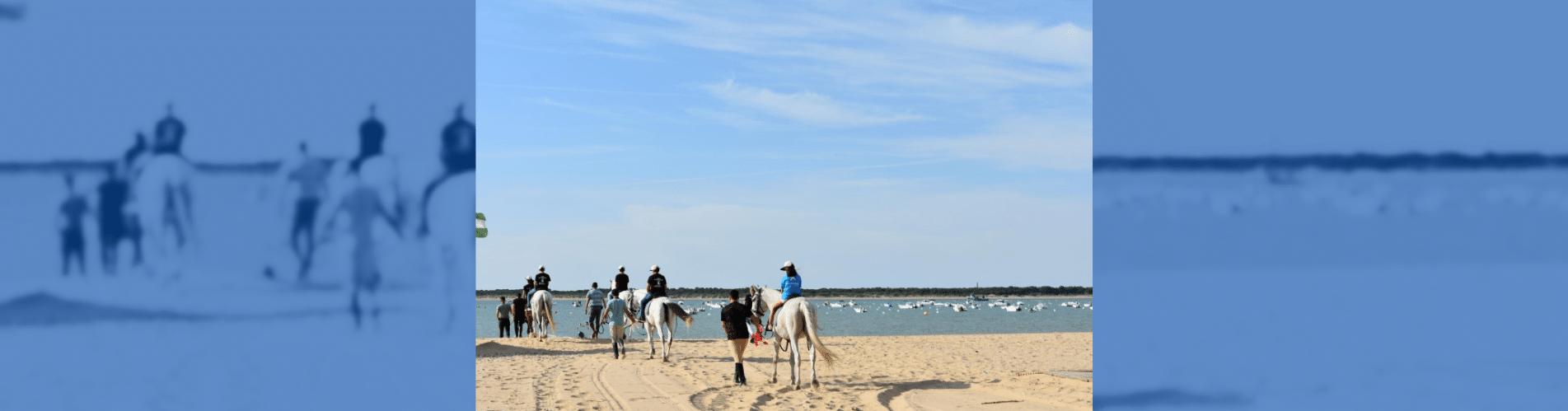 caballo