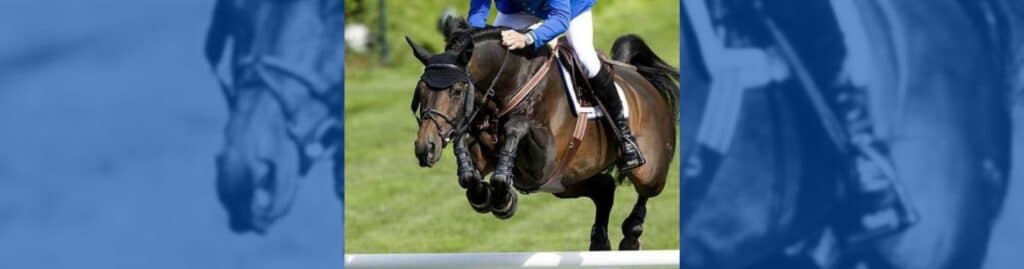 I Am Codex Doron Kuipers