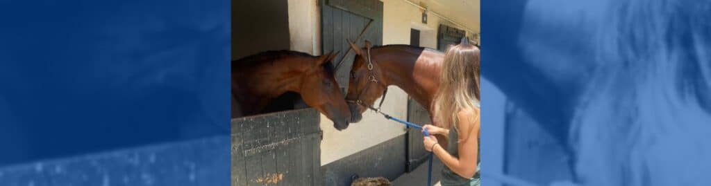 Maya de la Joya dylle des Aurs