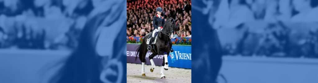 mejor studbook para doma clásica wbfsh everdale