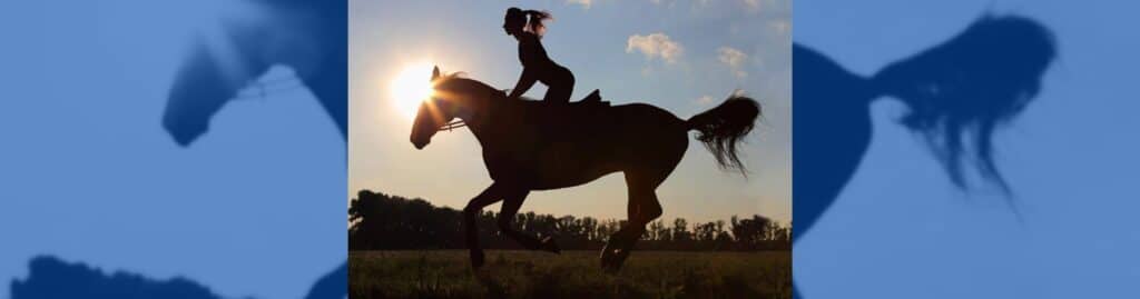 caballo