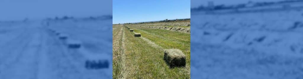 Almacenamiento del heno