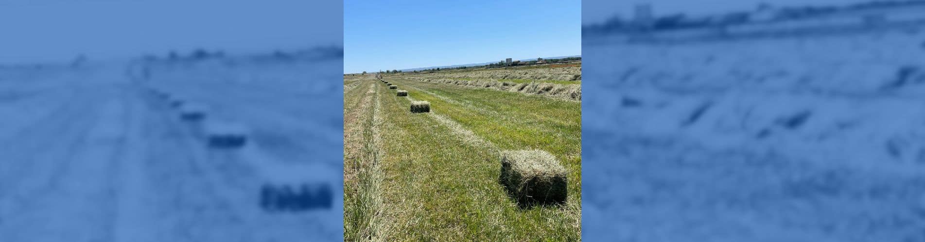Almacenamiento del heno