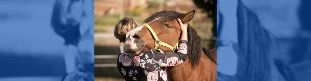 anatomía del caballo