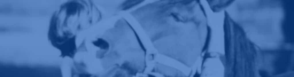 calma caballo forma natural special feeds