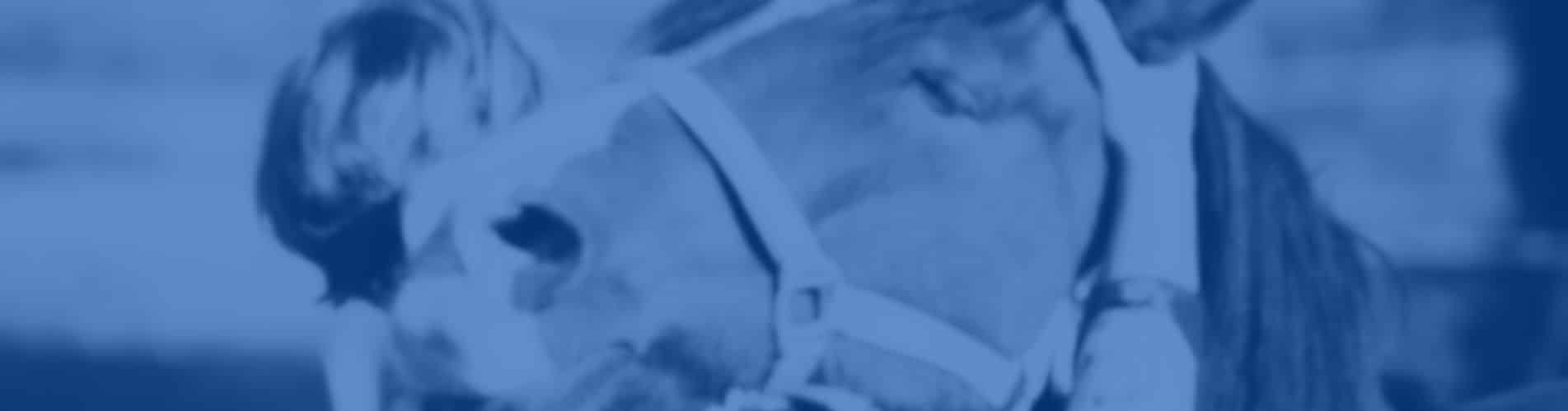 calma caballo forma natural special feeds