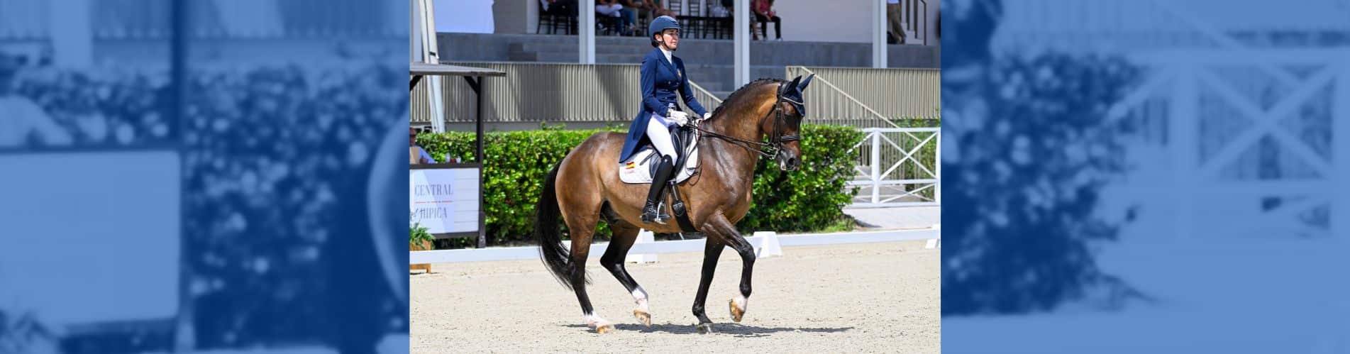 CDI4* de Kronberg Juegos Olímpicos