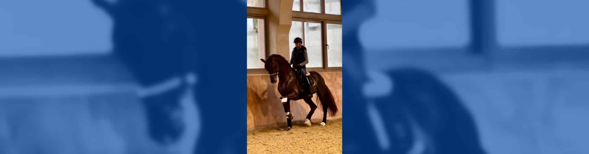 Alejandro Asencio proyectos