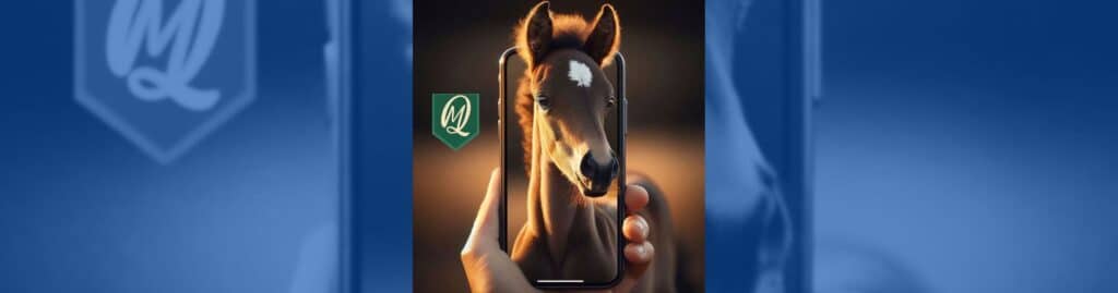 yeguada molino de quintos iphone 15