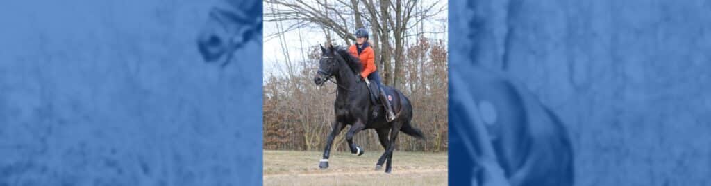 Tamino Jessica von Bredow-Werndl