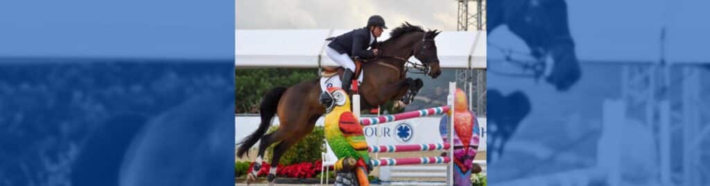 Cayetano Martínez de Irujo