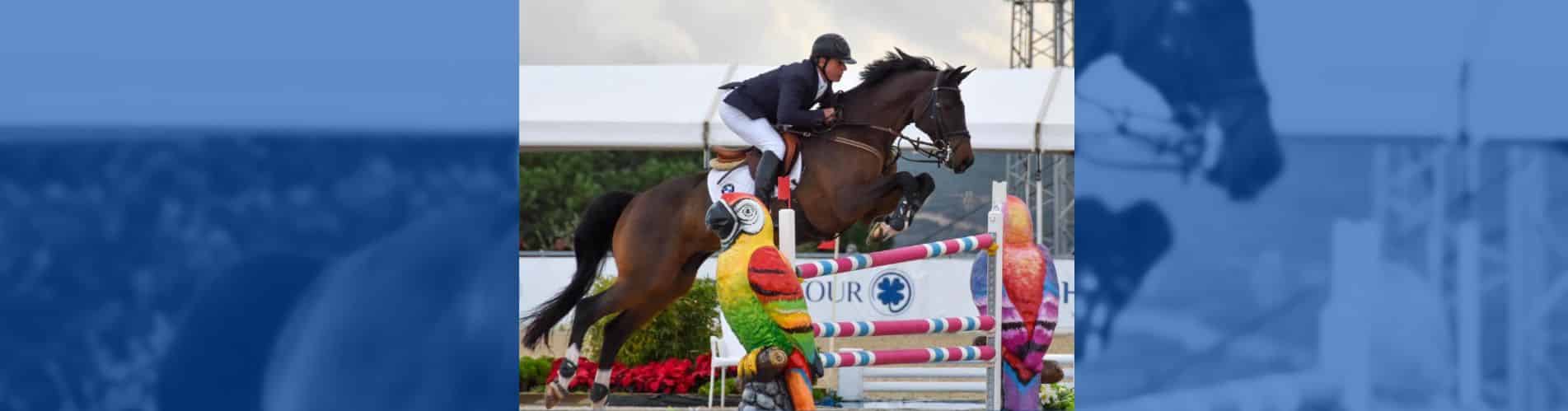 Cayetano Martínez de Irujo