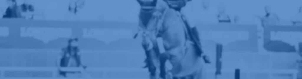 labor comercial éxito empresa